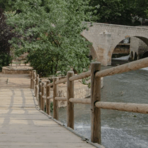 Lisse pour clôture normande Pin diam 80 Long 2m00 traité CL4 vert