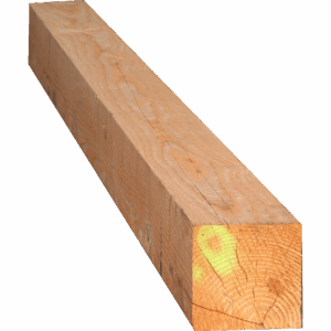 Poteau Douglas brut 100x100 Long 3m00